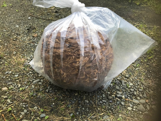 今すぐお問い合わせを！
