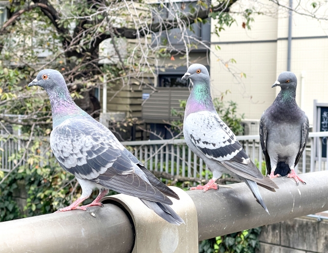 実績豊富な専門スタッフが対応