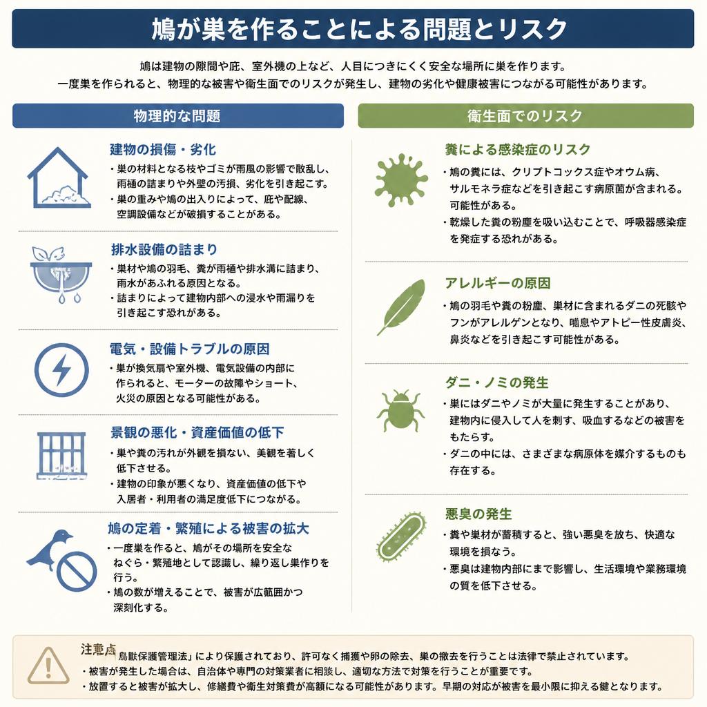 2. 鳩がもたらす問題とは？
